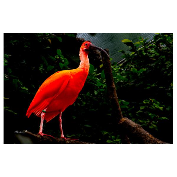 PHOTO84, CLUB, 84 , LUBERON